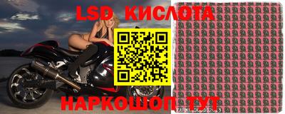 прущие грибы Бузулук