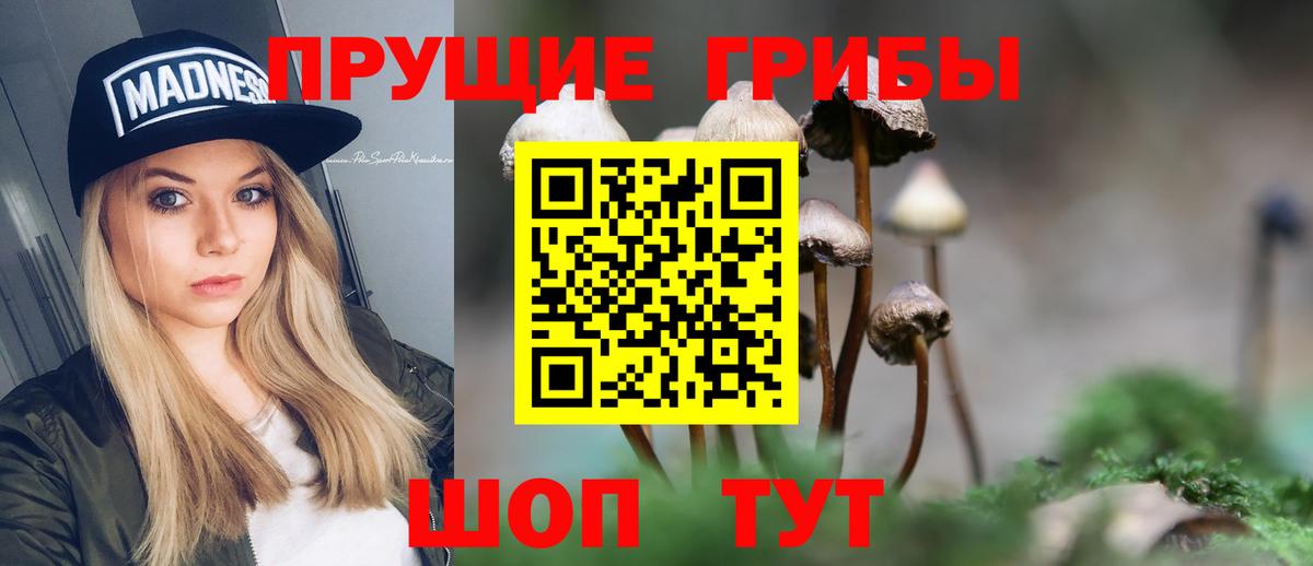Псилоцибиновые грибы Psilocybine cubensis Соликамск