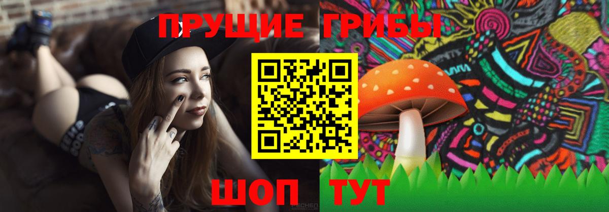 Галлюциногенные грибы MAGIC MUSHROOMS  Вход с VPN  Соликамск 